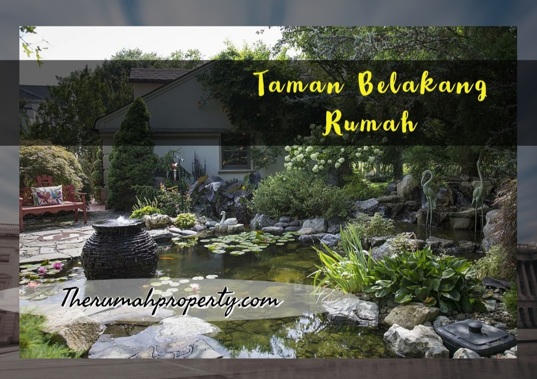 Detail Tanaman Belakang Rumah Minimalis Nomer 35