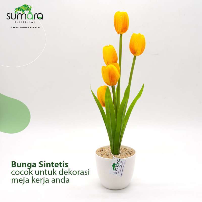 Detail Tanaman Bunga Tulip Nomer 38