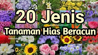 Detail Tanaman Bunga Yang Beracun Nomer 17