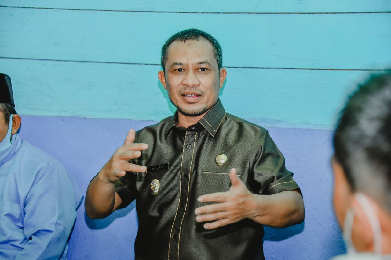 Detail Tanaman Cakar Elang Nomer 37