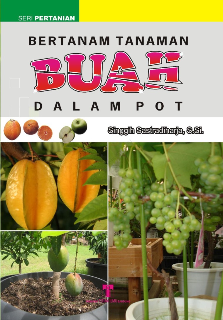 Detail Tanaman Dalam Pot Nomer 48