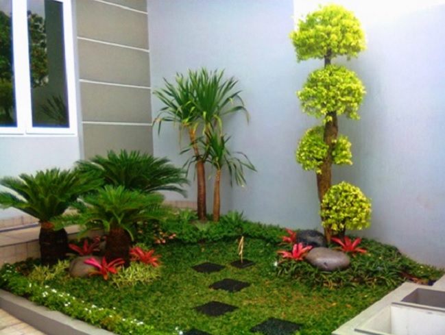 Detail Tanaman Depan Rumah Minimalis Nomer 2