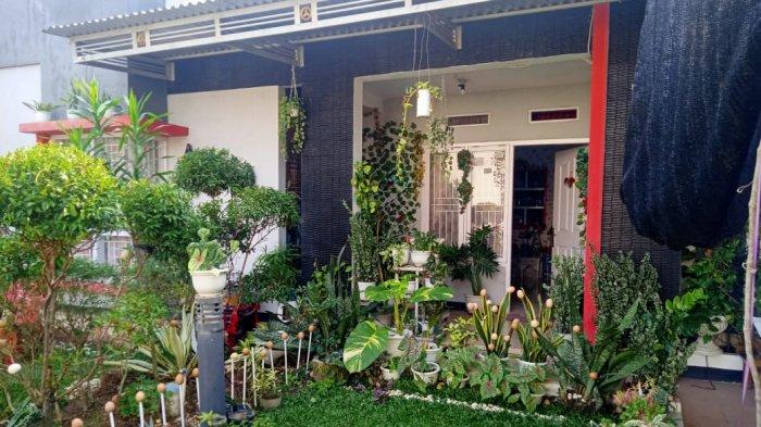 Detail Tanaman Depan Rumah Minimalis Nomer 54