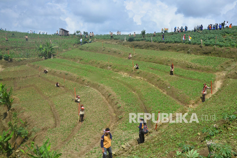 Detail Tanaman Di Pegunungan Nomer 41