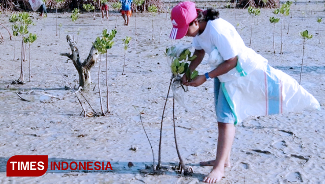 Detail Tanaman Di Pesisir Pantai Nomer 25