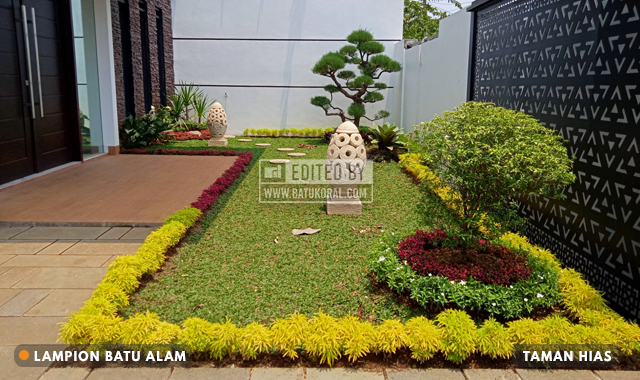 Detail Tanaman Hias Depan Rumah Minimalis Nomer 22