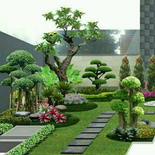 Detail Tanaman Hias Depan Rumah Sederhana Nomer 21