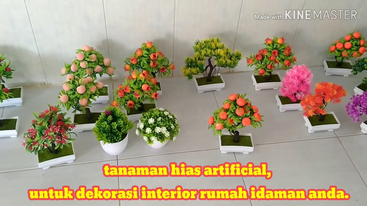 Detail Tanaman Hias Dinding Rumah Nomer 47