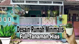 Detail Tanaman Hias Rumah Minimalis Nomer 14