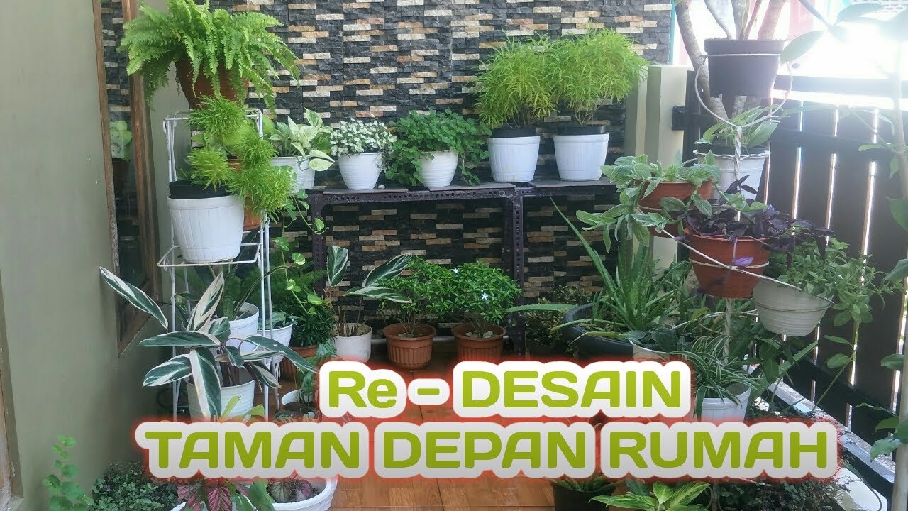 Detail Tanaman Hias Taman Depan Rumah Nomer 49