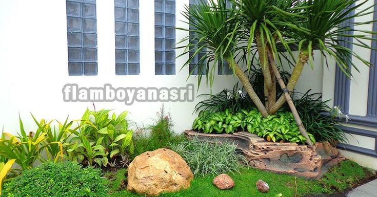 Detail Tanaman Hias Taman Depan Rumah Nomer 51