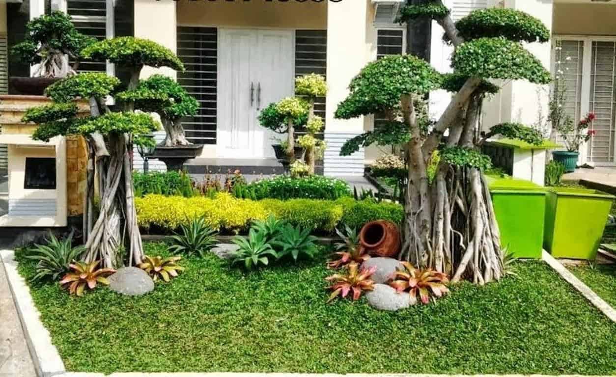 Detail Tanaman Kebun Rumah Nomer 12