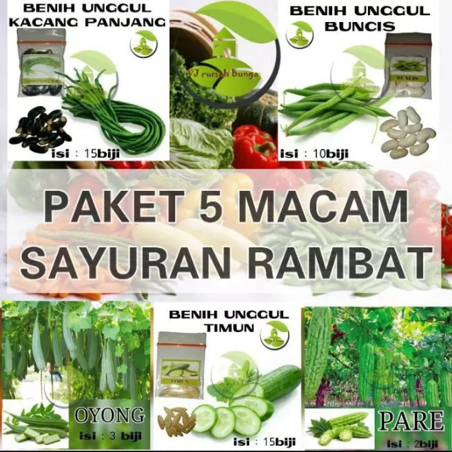 Detail Tanaman Sayur Merambat Nomer 13