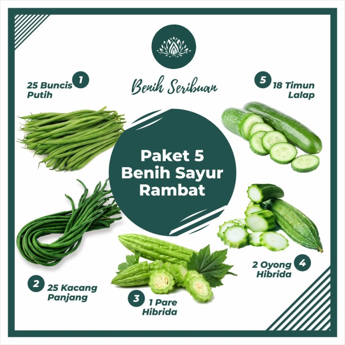 Detail Tanaman Sayur Merambat Nomer 3