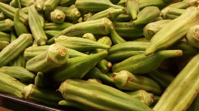 Detail Tanaman Sayur Okra Nomer 10