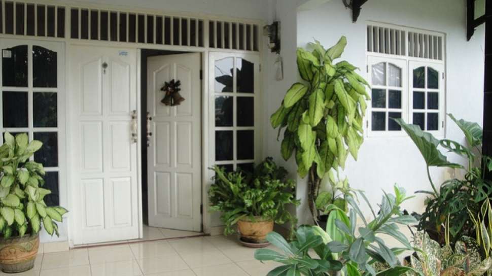 Detail Tanaman Untuk Teras Depan Rumah Nomer 23