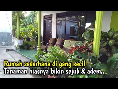 Detail Tanaman Yang Bikin Sejuk Rumah Nomer 43