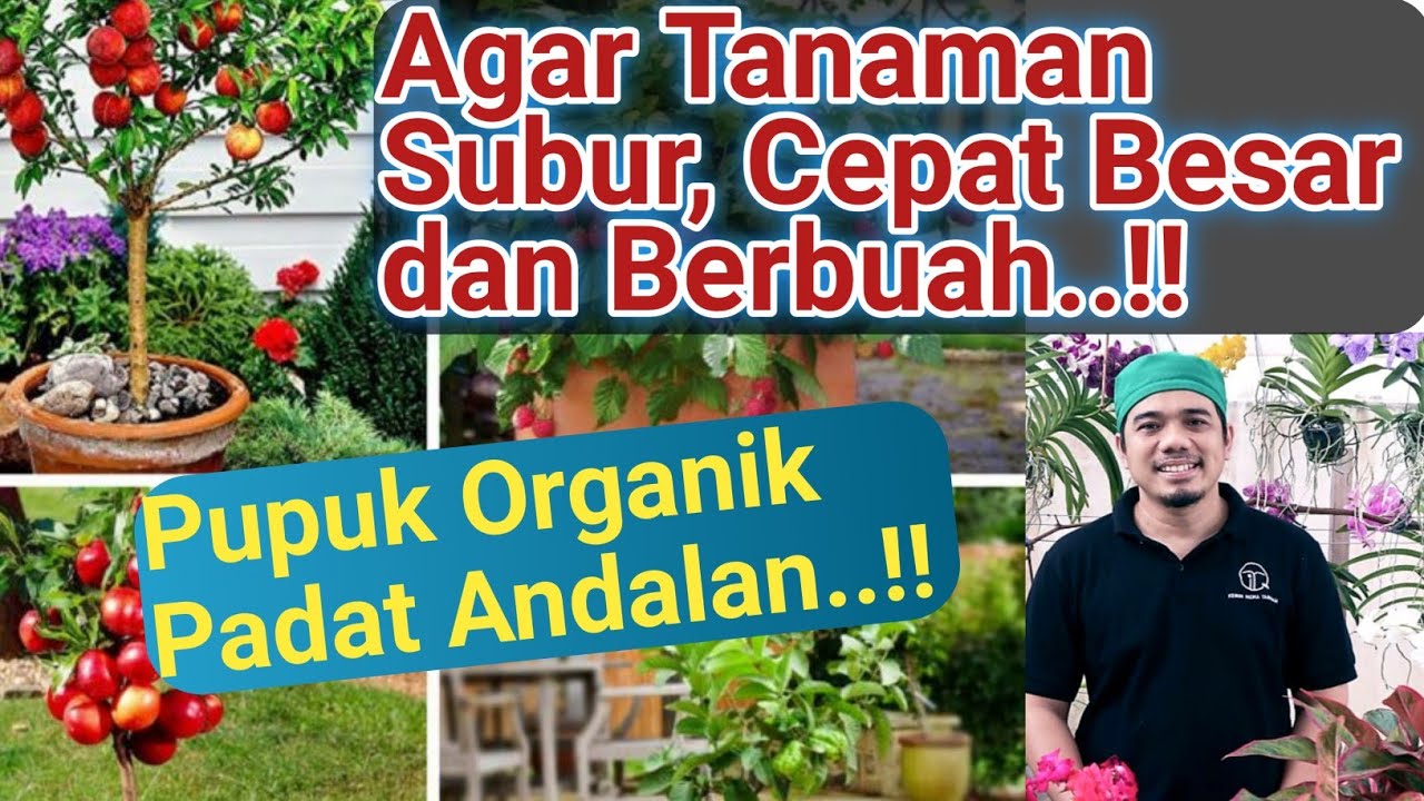 Download Tanaman Yang Subur Nomer 26