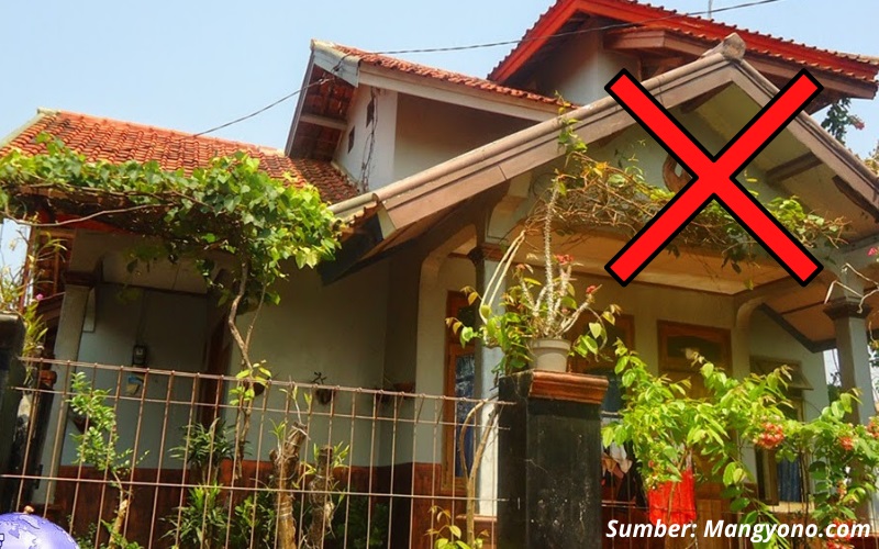 Detail Tanaman Yang Tidak Boleh Ditanam Di Dalam Rumah Nomer 12