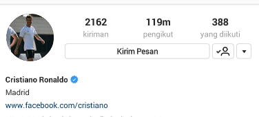 Detail Tanda Ceklis Di Ig Nomer 24