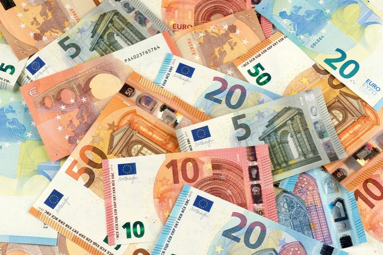 Detail Tanda Mata Uang Euro Nomer 13