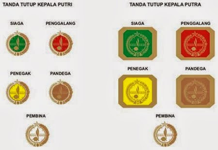 Detail Tanda Tanda Pengenal Gambar Jenis Dan Penjelasan Nya Nomer 11