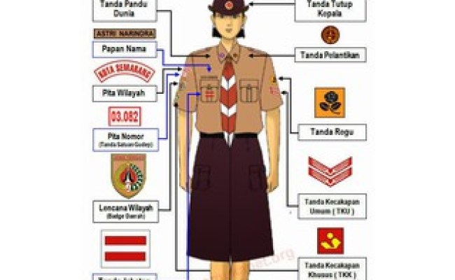 Detail Tanda Tanda Pengenal Gambar Jenis Dan Penjelasan Nya Nomer 35