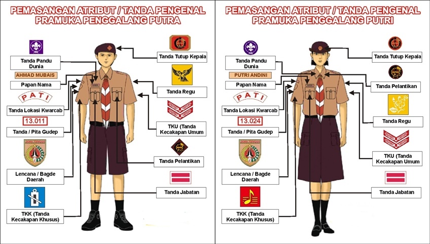 Detail Tanda Tanda Pengenal Gambar Jenis Dan Penjelasan Nya Nomer 4