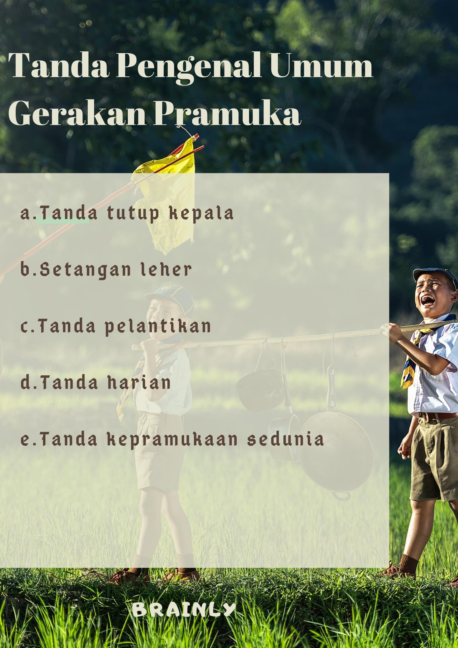 Detail Tanda Tanda Pengenal Gambar Sesuai Tingkatan Nomer 15