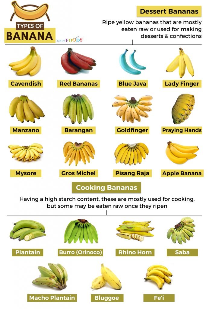 Detail Tanduk Bahasa Inggris Nomer 16