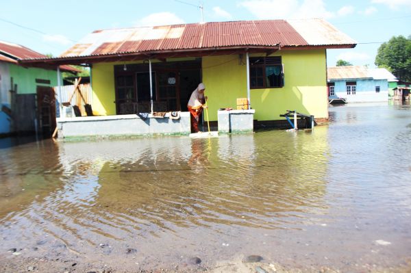 Detail Tanggul Banjir Di Teras Rumah Nomer 18