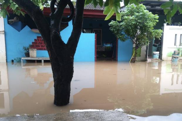 Detail Tanggul Banjir Di Teras Rumah Nomer 46