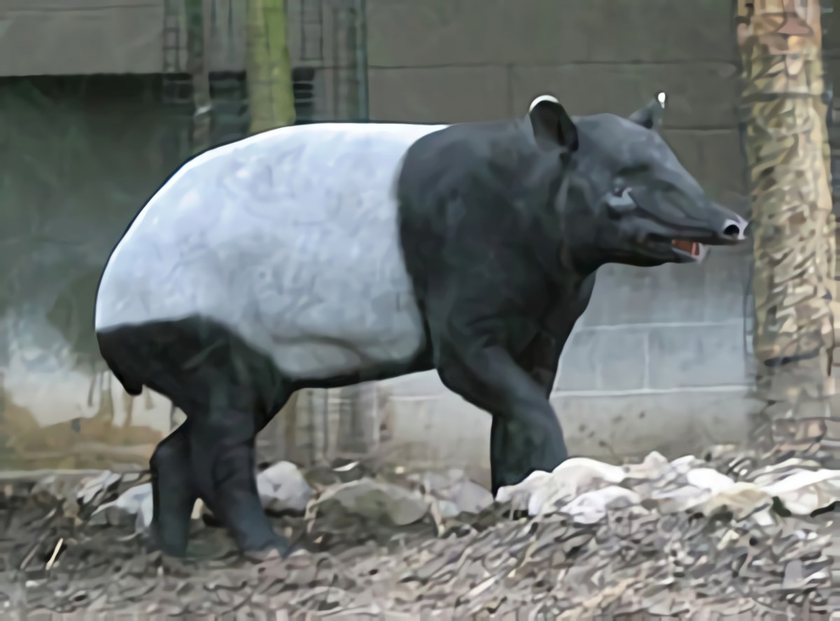 Detail Tapir Di Indonesia Nomer 4