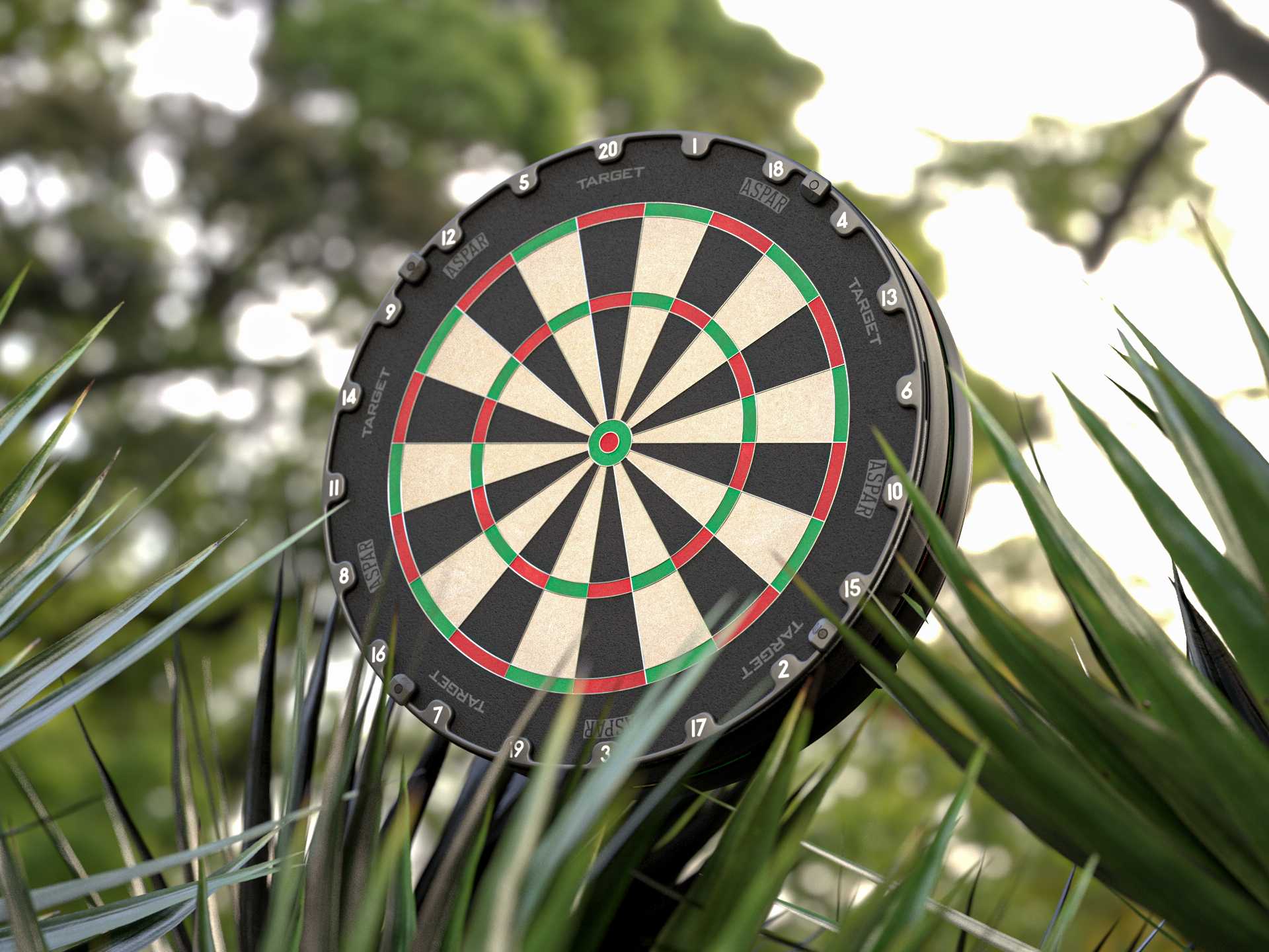 Detail Target Dart Board Nomer 29