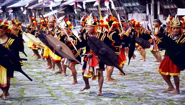 Detail Tari Perang Papua Nomer 20