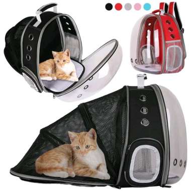 Detail Tas Aldo Gambar Kucing Nomer 24