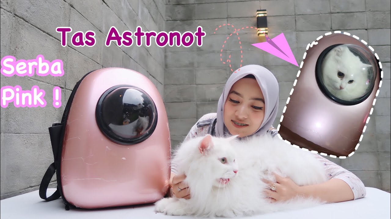 Detail Tas Gambar Kucing Nomer 18