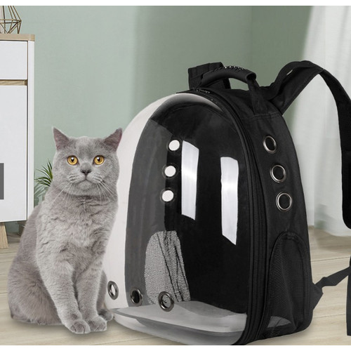 Detail Tas Gambar Kucing Nomer 28