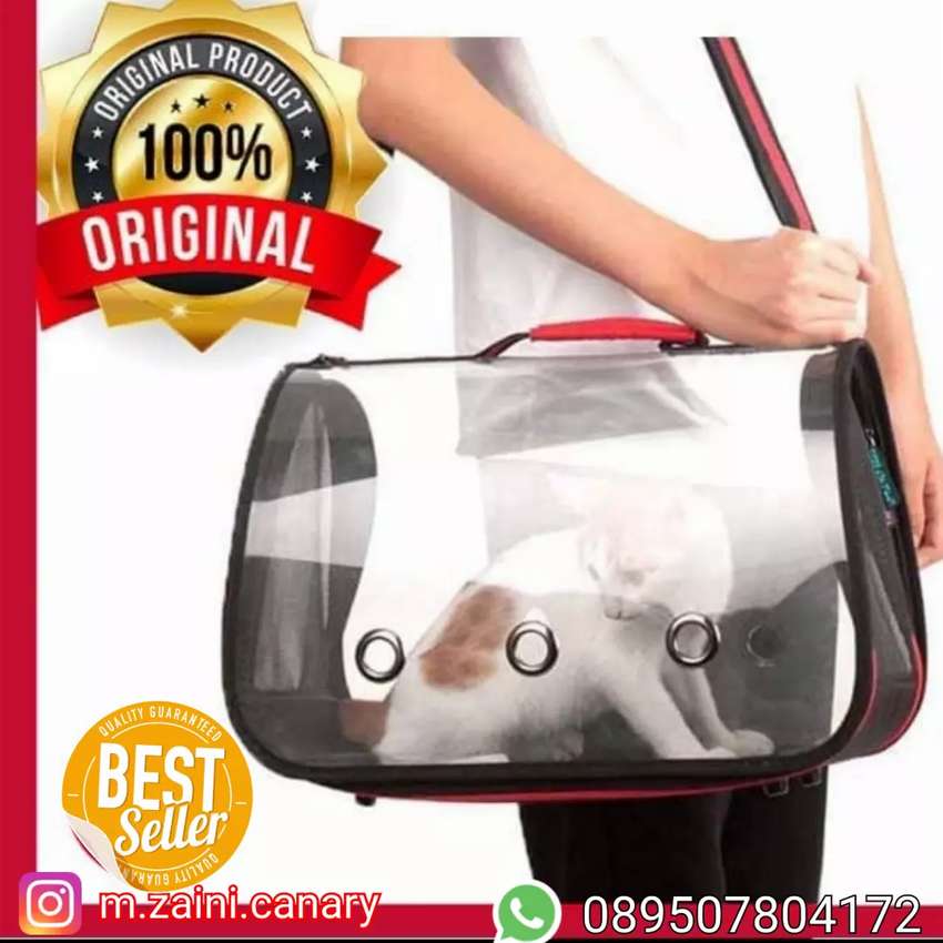 Detail Tas Gambar Kucing Nomer 37