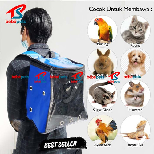 Detail Tas Gambar Kucing Nomer 38