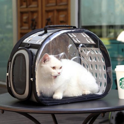 Detail Tas Gambar Kucing Nomer 41