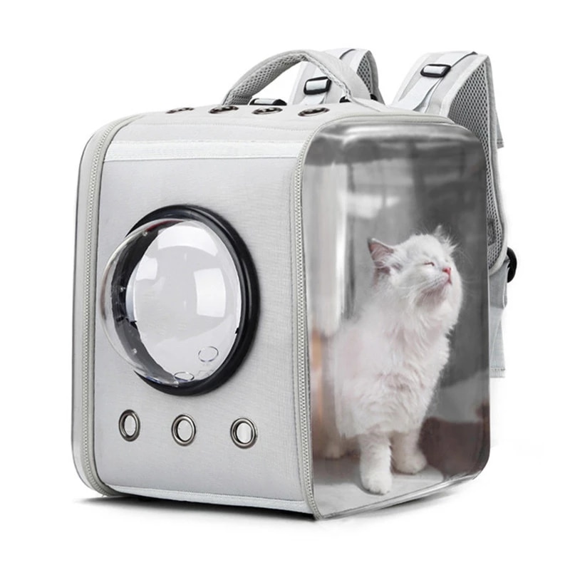 Detail Tas Gambar Kucing Nomer 10