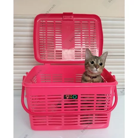Detail Tas Kucing Plastik Nomer 54