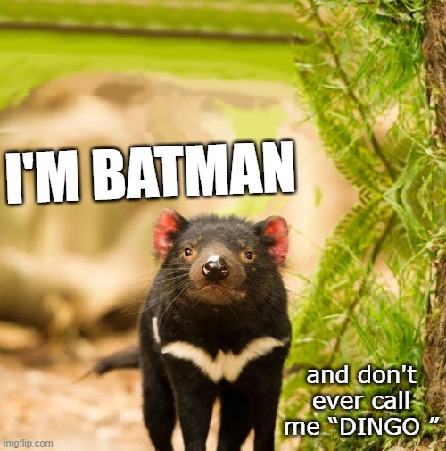 Tasmanian Devil Meme - KibrisPDR