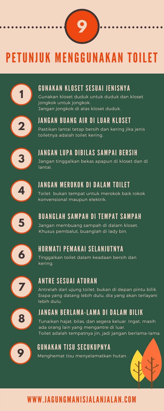 Detail Tata Cara Penggunaan Toilet Duduk Nomer 19