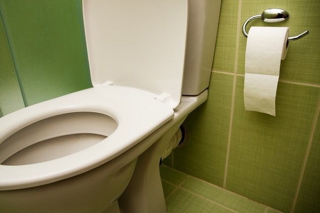 Detail Tata Cara Penggunaan Toilet Duduk Nomer 36