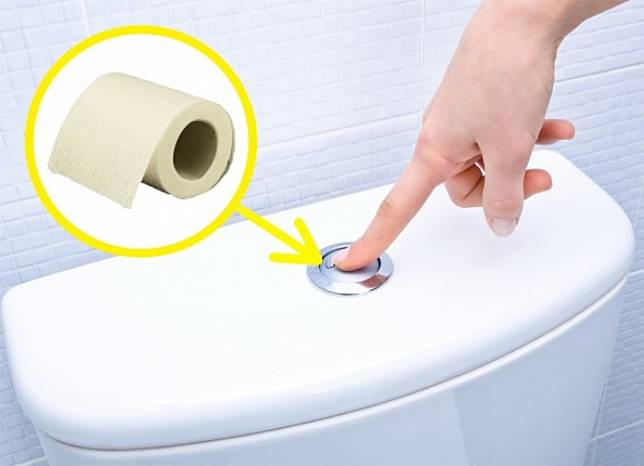 Detail Tata Cara Penggunaan Toilet Duduk Nomer 38