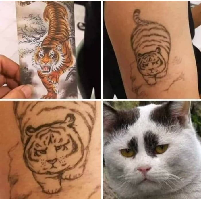 Detail Tato Gambar Kucing Nomer 32