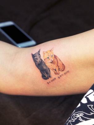 Detail Tato Gambar Kucing Nomer 38