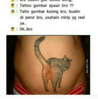 Detail Tato Gambar Kucing Nomer 46